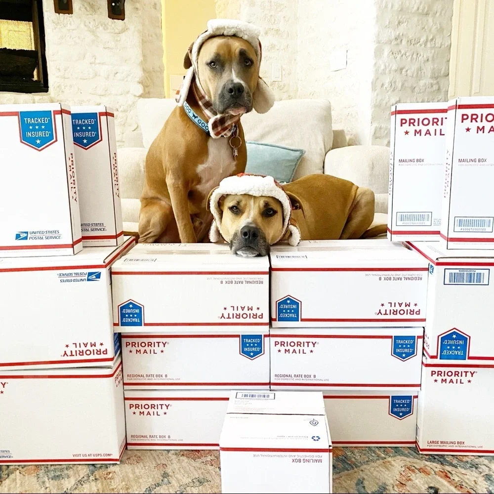 FOLLOW MY CUTE PAWSH ASSISTANTS! 🐶🐶🛍👑🐝 - Picture 6 of 16